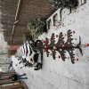 Nikolaus 2017